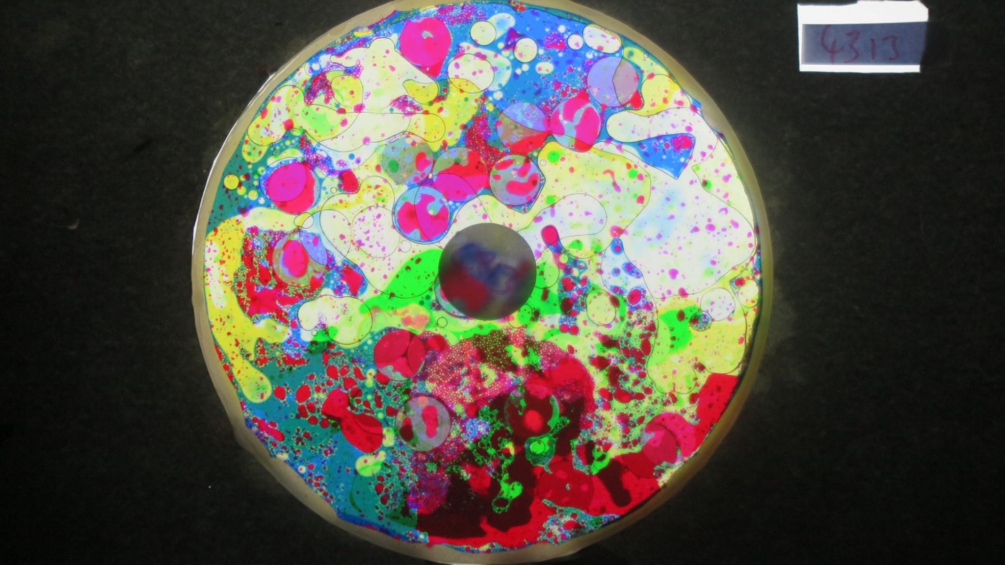 BV4313 bubble vision oil wheel